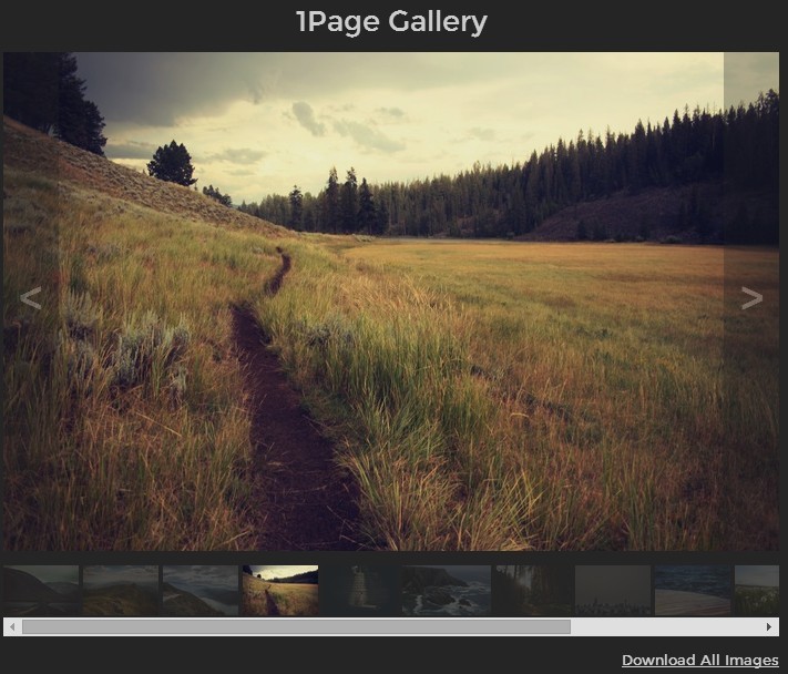 jQuery 1Page Gallery